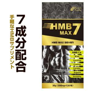 HMB アルギニン BCAA シトルリン クレアチン カルニチン サプリ