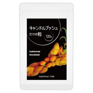 スーパースヴェコール プレミアム 4粒×90包 : FBLヤフーショップ
