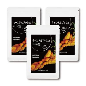 ○ターミナリアファースト プロフェッショナル4 タブレットタイプ 30