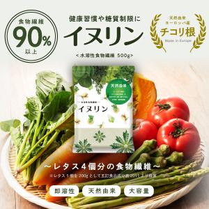 ヘルシーカンパニー 難消化性デキストリン400g×5 微顆粒品 水溶性食物