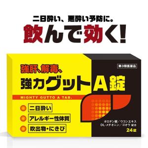 『黄色と黒の　強力グットA錠　24錠』二日酔い・悪酔い・酒酔い対策に！