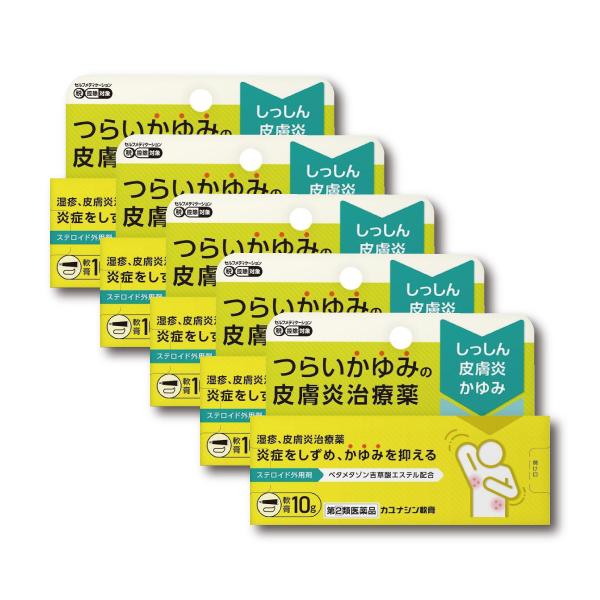 【5個】【ステロイド軟膏】『カユナシン軟膏 10g』 つらいかゆみ 湿疹に 季節の肌トラブル改善 │...