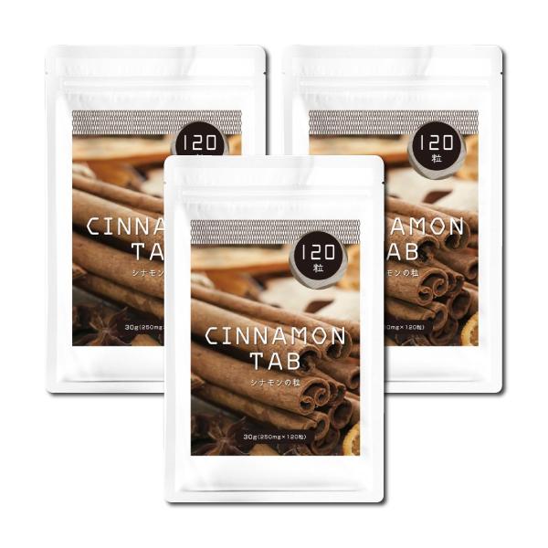 カズレーザーと学ぶ『シナモンの錠剤 120粒』3個セット【約3ヶ月分】