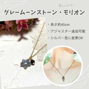 チェーンが選べる ラピスラズリ・モリオン（黒水晶）のドロップ 