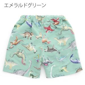 【30%OFF】キッズ 水着 男の子 サーフパ...の詳細画像2