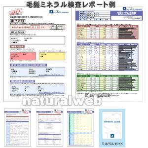 格安即決 体内の有害金属や栄養ミネラルを手軽に検査する 毛髪ミネラル検査キット デトックスや体調管理に 6255 デック ナチュラルウェブ 通販 Yahoo ショッピング Www Certificadodigitaldf Com Br