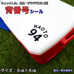 ザラザラ面にも貼れる 名前シール 防水 ステッカー クーラーボックス・水筒にも オリジナルシール カッティングシール 背番号