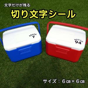 ザラザラ面にも貼れる 名前シール 防水 ステッ...の詳細画像2