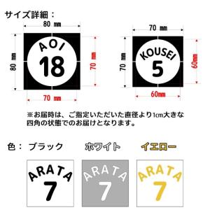 氷嚢 アイスバッグ シール ステッカー ザラザ...の詳細画像4