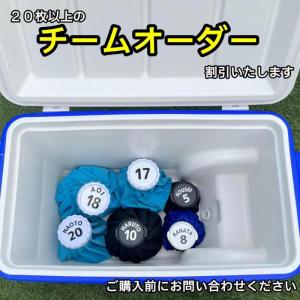 氷嚢 アイスバッグ シール ステッカー ザラザ...の詳細画像3