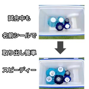 氷嚢 アイスバッグ シール ステッカー ザラザ...の詳細画像2