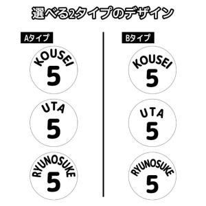氷嚢 アイスバッグ シール ステッカー ザラザ...の詳細画像1