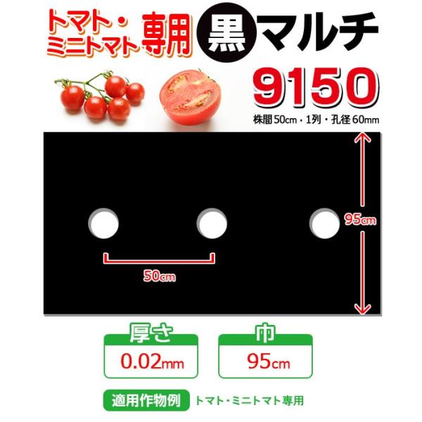 【マルチ】 穴あき黒マルチ9150 10m トマト・ミニトマト用 (10mまで郵便配送商品)
