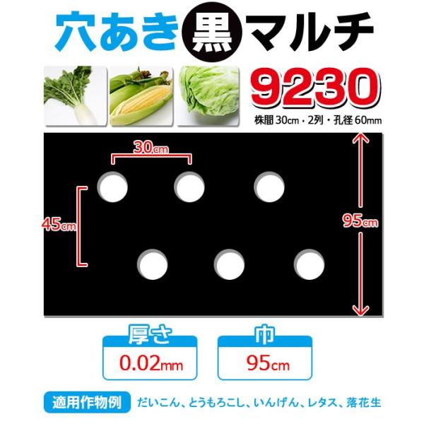 【マルチ】 穴あき黒マルチ9230 10m 大根 とうもろこし用(10mまで郵便配送商品)