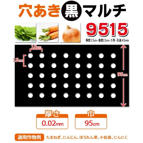 【マルチ】穴あき黒マルチ9515 10m にんじん・菜っ葉用(10mまで郵便配送商品)