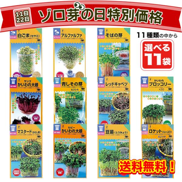 【ゾロ芽の日限定特別価格2,222円】11種類から選べる 家庭菜園スプラウト種 11袋セット！（送料...