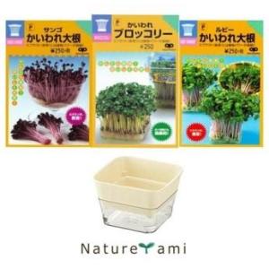 【栽培セット】 スプラウトプランター＆スプラウトアソート 3袋セット かいわれブロッコリー・ルビーか...