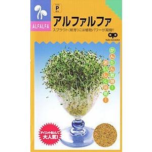 【種】 スプラウト アルファルファ 5袋セット （送料無料・郵便配送商品）
