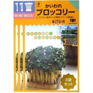 【種】 スプラウト かいわれブロッコリー  3袋セット（郵便配送商品）