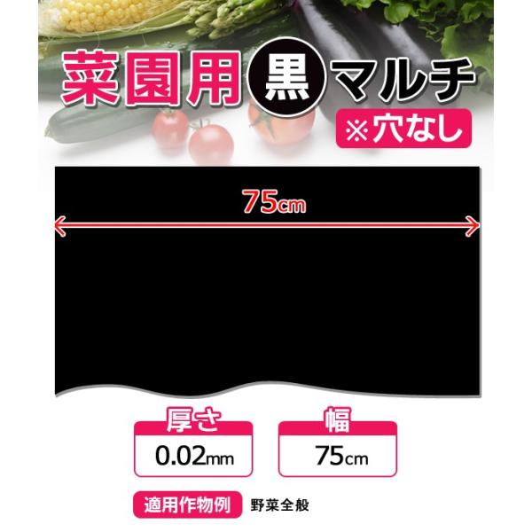 【マルチ】穴なし ミニ黒マルチ 幅75cm 10m (10mまで郵便配送商品)