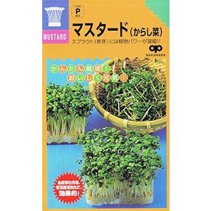 【種】 スプアウト マスタード（からし菜）5袋セット（送料無料・郵便配送商品）