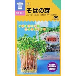 【種】 スプラウト そばの芽  5袋セット（送料無料・郵便配送商品）