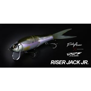 EverGreen（エバーグリーン） ロイヤルフラッシュ #788 マットチャート