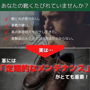 コロニル 簡単 レザー 革 手入れ セット 1...の詳細画像1