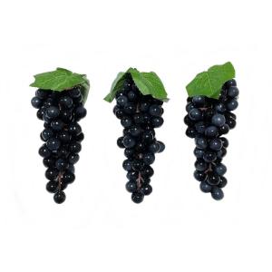 ぶどう 葡萄 サンプル 本物そっくり 食品サンプル フルーツ 果物 ディスプレイ 飾り 3個セット /Ｖ517N (ブラック・黒)｜nature-yshop