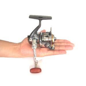 DAIWA（ダイワ） 【目玉商品】ダイワ 21 カルディア LT2500 (2021年