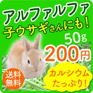 アルファルファ 50g 牧草、うさぎ、モルモッ...の詳細画像1