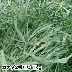 【あすつく】 【送料無料】 カナダ産 チモシー 2番刈/二番刈り 1kg｜naturebreed