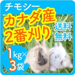 【あすつく】 【送料無料】 カナダ産 チモシー...の詳細画像3
