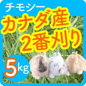 【あすつく】 カナダ 二番刈り チモシー 5kgの詳細画像3