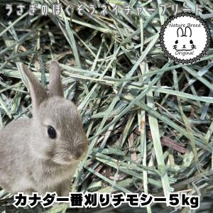 カナダ産 チモシー 2番刈/二番刈り 1kg 牧草、うさぎ、モルモット