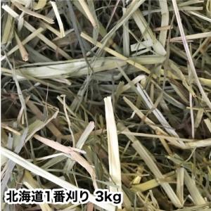 【あすつく】チモシー　北海道一番刈りチモシー　3kg　