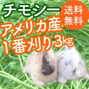 あすつく 2025年産新刈り入荷 送料無料 ア...の詳細画像3