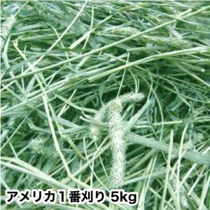 2025年産(1kg)アメリカ産プレミアムホースチモシー1番刈り