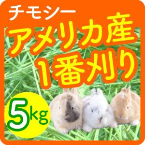 あすつく アメリカ産 チモシー 1番刈り/一番...の詳細画像3