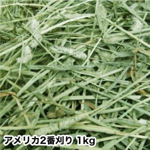 2025年産(1kg)アメリカ産プレミアムホースチモシー1番刈り：シングル