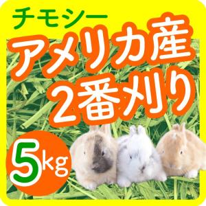 【あすつく】チモシー アメリカ二番刈りシングル...の詳細画像3