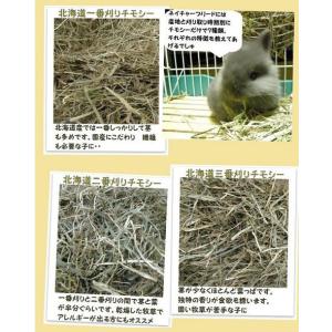カナダ産 チモシー 2番刈/二番刈り 1kg ...の詳細画像2