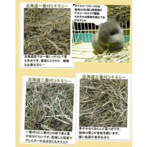 【送料無料】カナダ産 チモシー 2番刈/二番刈...の詳細画像2