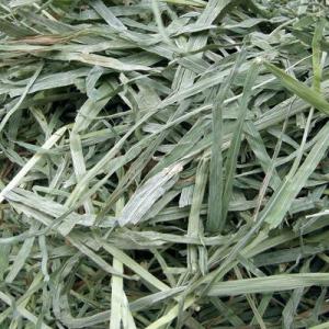カナダ産 チモシー 2番刈/二番刈り 1kg 牧草、うさぎ カナダ産 チモシー 2番刈/二番刈り 1kg 牧草、うさぎ