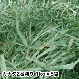 うさぎ 牧草 チモシー　【 送料無料 1kgx5袋 】  カナダ 産  チモシー 2番刈り 二番刈り 1kgx5袋｜naturebreed