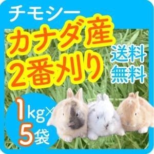 うさぎ 牧草 チモシー 【 送料無料 1kgx...の詳細画像3