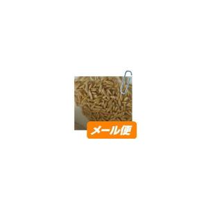 ( えん麦（殻つき）100ｇ　うさぎ　モルモット　チンチラ　テグーのおやつ【RCP】