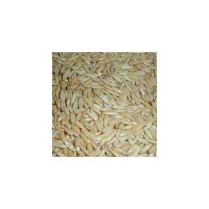 ( えん麦(殻つき)100g うさぎ モルモッ...の詳細画像2