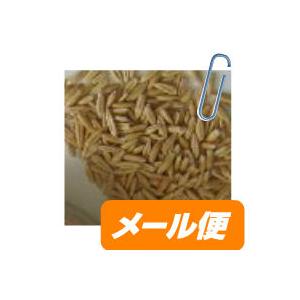 ( えん麦(殻つき)100g うさぎ モルモッ...の詳細画像3