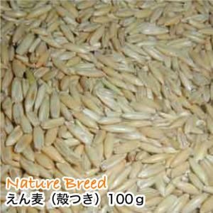 ( えん麦(殻つき)100g うさぎ モルモッ...の詳細画像4